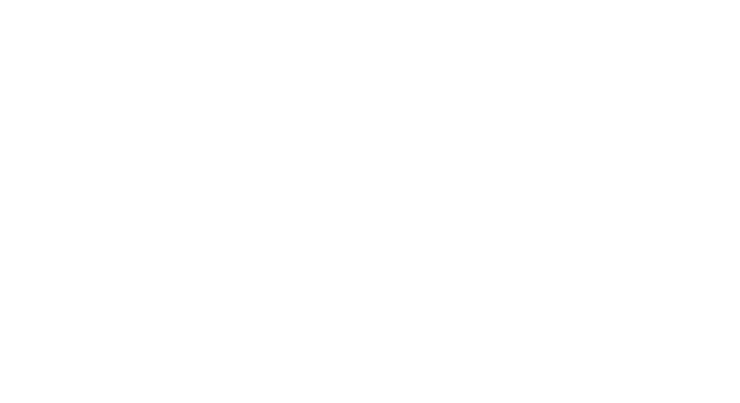 Programa MCE